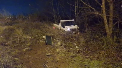 Kontrolden çıkan kamyonet ortalığı savaş alanına çevirdi