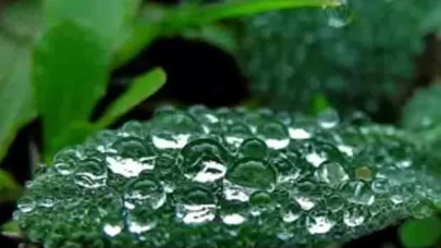 Cemre nedir? Cemre düşmesi ne anlama gelir? Baharın habercisi olarak bilinen cemre hakkında merak edilenler