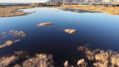 Tamamen kuruyan Milleyha yeniden hayat buldu!