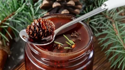 Kozalak şurubu inatçı öksürüğe savaş açtı