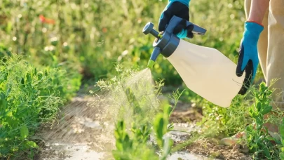 Tarım ve Orman Bakanlığı’ndan bitki koruma ürünleri için ruhsat değişikliği