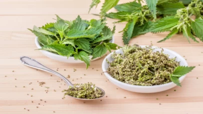 Isırgan otu suyu donuk ciltlerde neyi değiştiriyor?