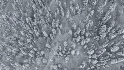 Dronla havadan izleyin: Sinop’un karla kaplı ormanları nefes kesti!