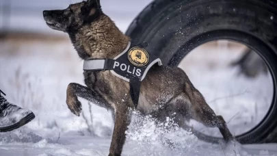Erzurum'da polis köpekleri için yüksek irtifa eğitim üssü kuruldu