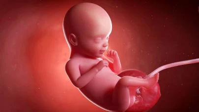 Bebeğim ne kadar büyüdü? Ay ay bebek boyutu karşılaştırması