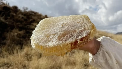 1 kilosu araba fiyatına! Dünyanın en pahalı balı Türkiye'den çıktı