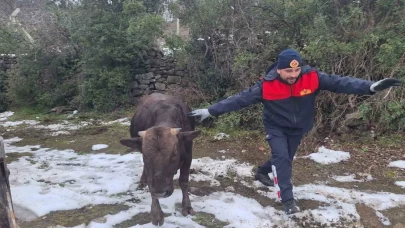 Tokat'ta su kuyusuna inek düştü! İtfaiye ekipleri sevk edildi