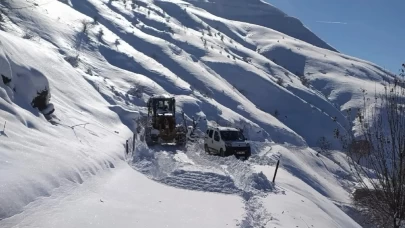 Çığ riski ve yoğun tipi nedeniyle kapanan Bahçesaray-Hizan kara yolu açıldı