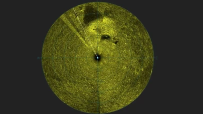 Yarım asırlık sır bitti! Fatih Terim'i yıkan kazada flaş gelişme