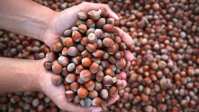 2025’te fındık ihracatında düşüş: Gelir 2,25 milyar dolar olarak gerçekleşti