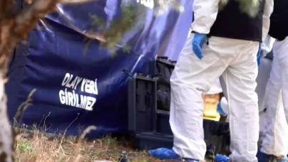 15 yaşındaki çocuk zeytinlikte ölü bulundu