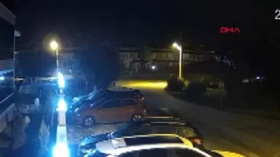 Bursa’da zeytin ağacına çarpan otomobilin sürücüsü yaralandı