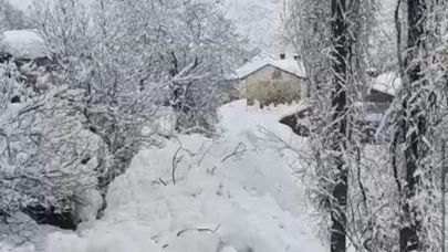 Yüksekova’da çığ köyü teğet geçti