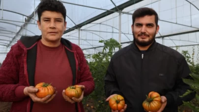 Asgari ücretle çalışmayı bıraktı, devlet desteğiyle yüz binlerce TL kazanıyor!