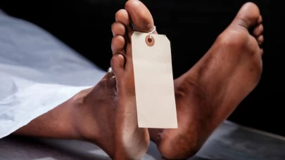 Son perde kapanırken: Beynin yaşama muazzam vedası