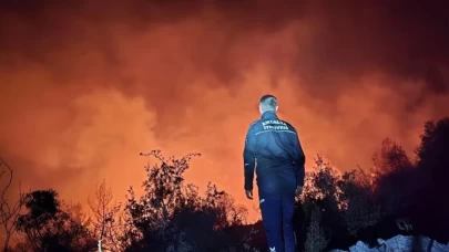 Antalya'da orman yangını! 2 hektarlık alan zarar gördü