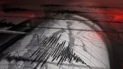 Meksika 6.5 ile sallandı