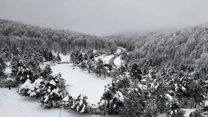 Domaniç Dağı beyaza büründü! Yayla ve tabiat parklarına ziyaretçi akını
