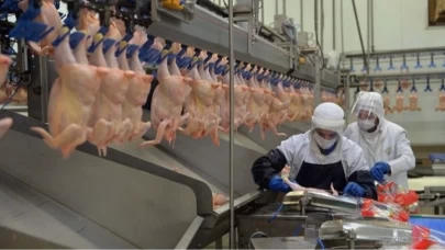 Tavuk eti ve yumurtası üretiminde ivme: Kasım’da yüzde 7,9 ve 3,4 artış!