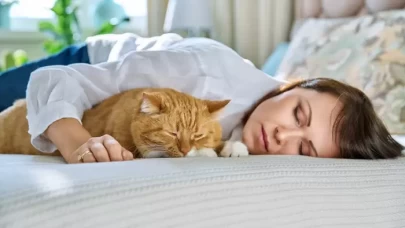 Evcil hayvanınızla aynı yatakta uyumak sağlıklı mı?