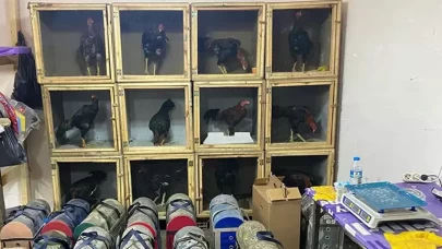 Drone destekli baskınla horoz dövüşü ringi çökertildi