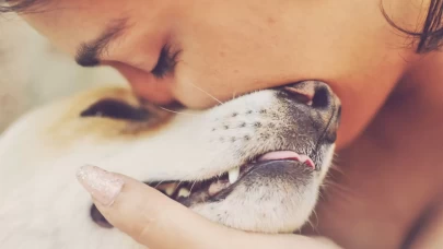 Evcil dostunuzu kaybettikten sonra iyileşmenin 10 etkili yolu