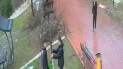 Adana’da kuş yuvasını yıktılar! 4 çocuğa ev hapsi