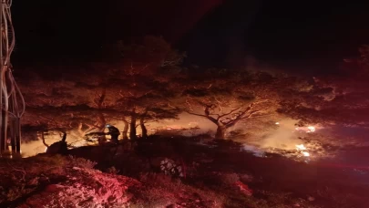 Bodrum’da ormanlık alanda korkutan yangın!