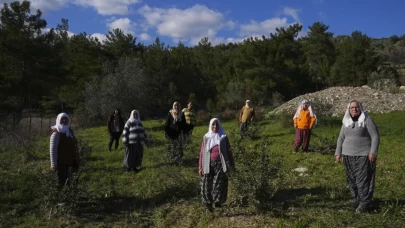 Birlik oldular, yeniden diktiler! İzmirli kadınlar kaybolan mirası yeniden yeşerttiler