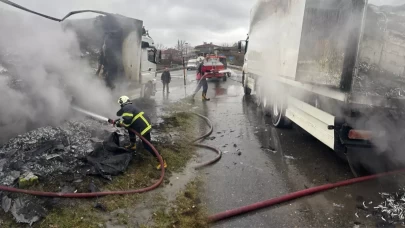 Kırklareli’de hamsi yüklü tır alev aldı!