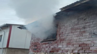 Manisa’da korkutan yangın! Tonlarca tütün yandı