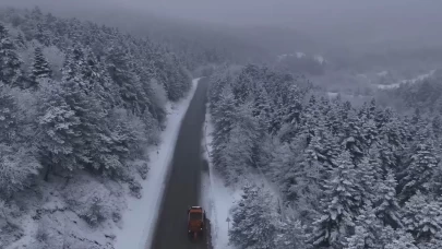 Pülümür Vadisi’nde yiyecek arayan kurt kamerada