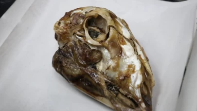 Sivas mutfağının 16 saatlik kelle efsanesi