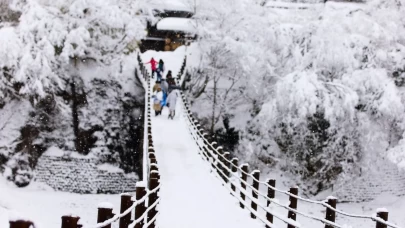 Sert kış şartları can almaya devam ediyor