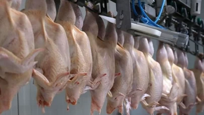 Kanatlı etinde yeni tedbir dönemi başladı