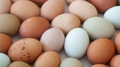 Yumurtada '28 gün' sınırı başladı