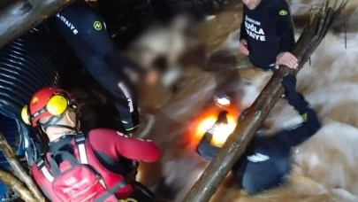 Talihsiz sürücü aracının 100 metre ilerisinde ölü bulundu