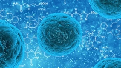 DSÖ’den umut verici rapor: Kanser vakalarının 4’te 1’ini önlemek mümkün!