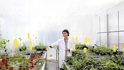 Uzay tarımında Türkiye imzası