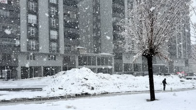 Bitlis beyaza büründü: Rahva bölgesinde kar ve sis ulaşımı vurdu!