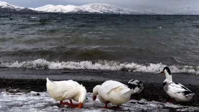 Hazar Gölü'nde kış masalı: Sivrice'de karla kaplı manzaranın keyfini çıkarın
