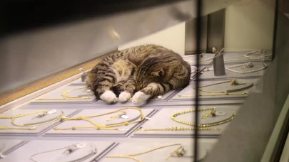 Sakaryalı kuyumcunun vefalı mesai arkadaşı