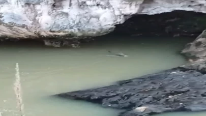Elazığ'da nadir görüntü! Su samuru balık avlarken yakalandı