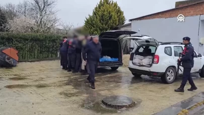 İstanbul'da 306 kilogram at eti ele geçirildi!