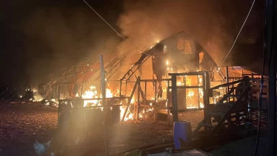 Bursa'daki yangında 250 tavuk, 150 civciv ve 180 kaz telef oldu!