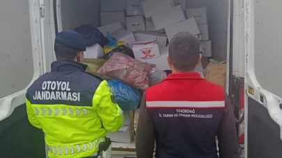 Tekirdağ'da kıyılmış 2 ton Antep fıstığı imha edildi