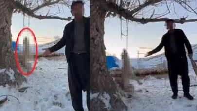 Çok yemek yiyor diyerek köpeğini ağaca astı