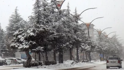 Köy yolları kar nedeniyle ulaşıma kapandı