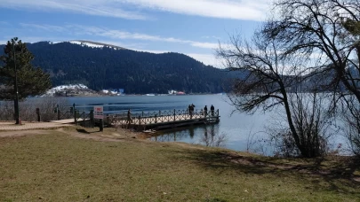 Abant Gölü'nde bahar müjdecisi çiğdem çiçekleri açtı! Doğa uyanıyor