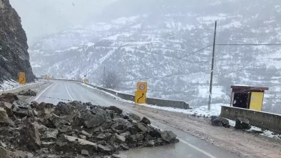 Gümüşhane-Giresun kara yolunda heyelan